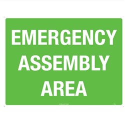 509LP 88E-NP Sign Emergency Assembly AREA Poly